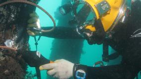 Marine engineering diving (think waterfront structural engineering)