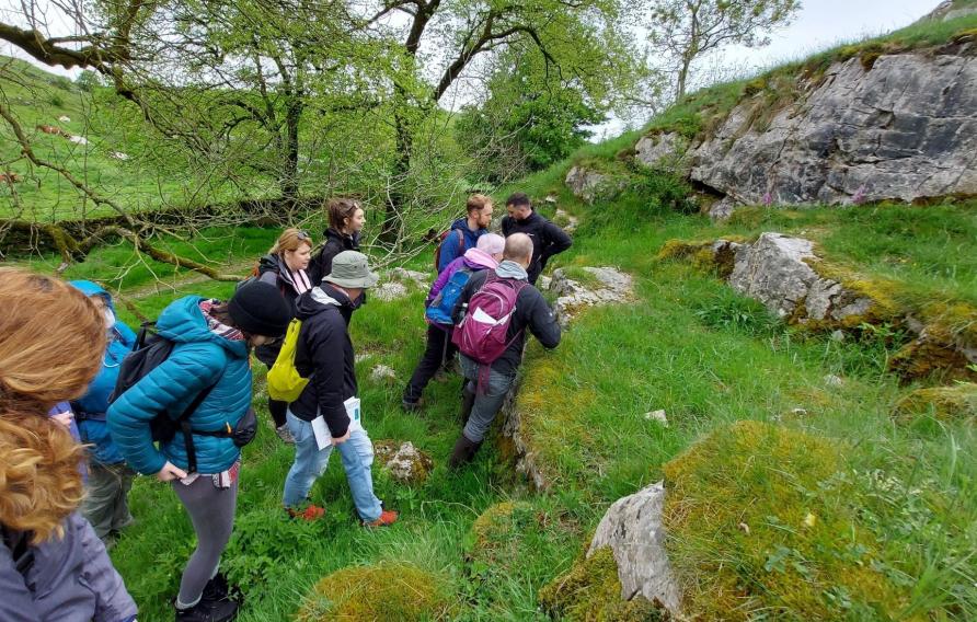 Group of people hiking in greenery