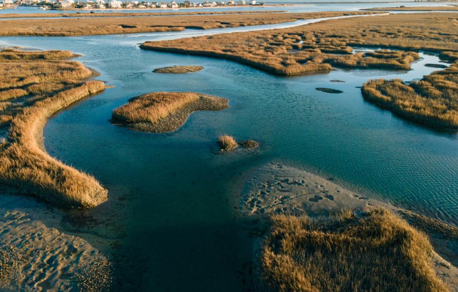 An aerial view of the flowing water in grasslands in bright sunlight in Murrells Inlet, Georgetown county, South Carolina, United States