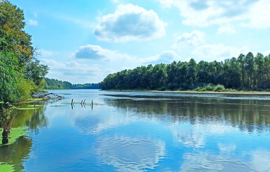 Wide river with green coasts and sky with clouds 