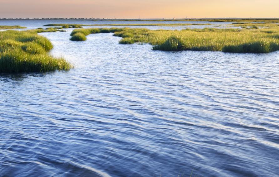 Ocean Inlet with Salt Marsh Grasses 