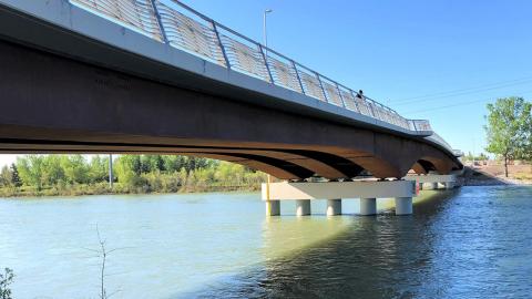 12 Street Southeast Bridge