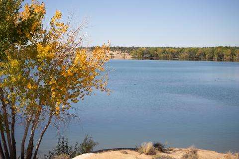 View of Lake Farmington