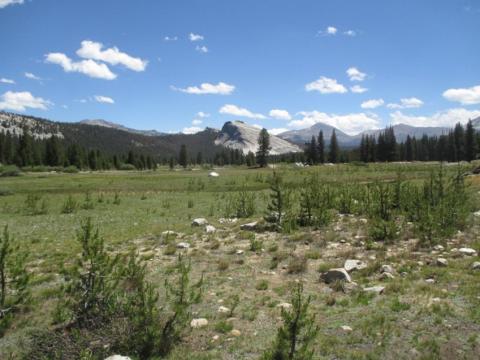 Tuolumne Meadows at Yosemite 