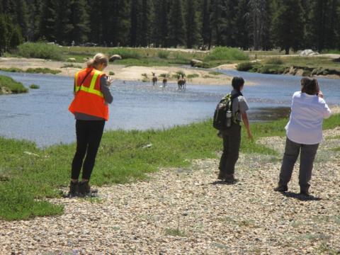 Tuolumne Meadows environmental research 