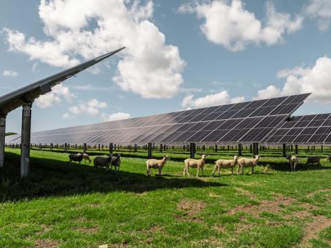 Lodestone Energy’s Solar Farm Program, courtesy of Lodestone