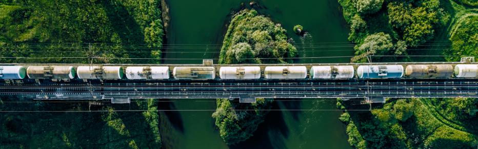 Elevated rail over greenery