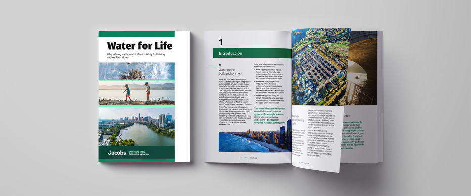 Water for Life report preview