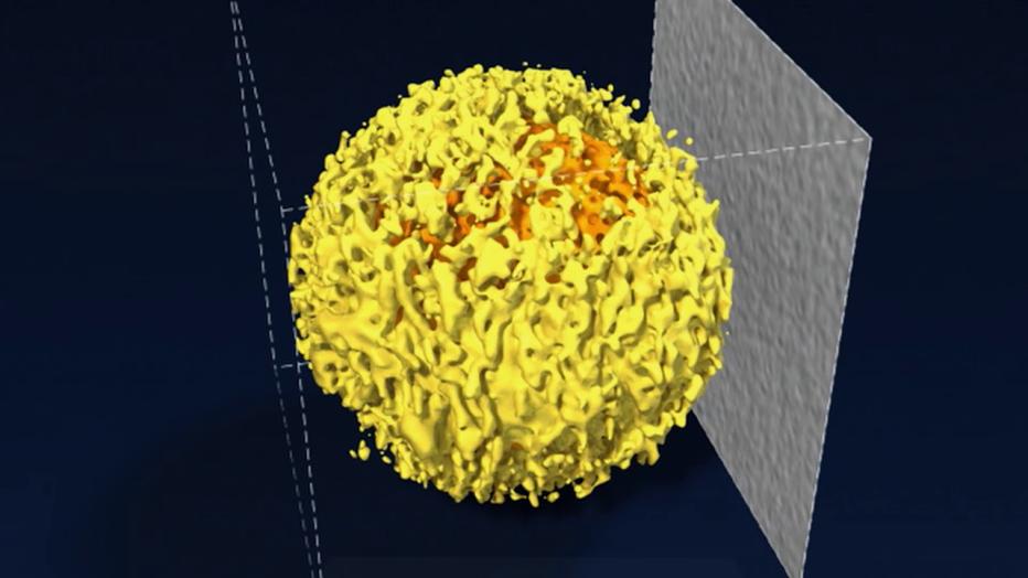 UOW's Molecular Horizons