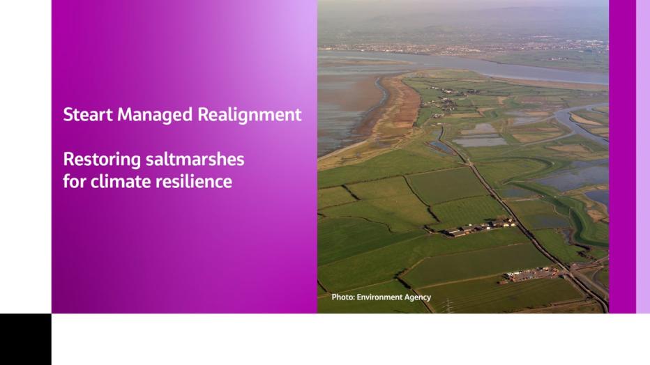 Steart Managed Realignment - Final